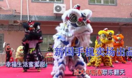 舞狮子表演视频,传承与创新交织的民俗文化展示